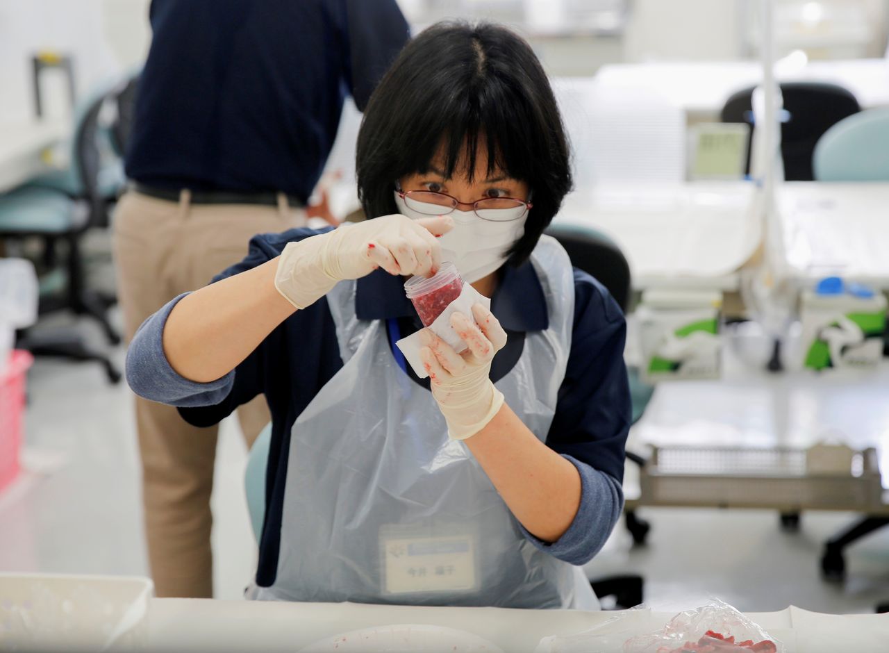 FILE PHOTO: A laboratory technician puts chopped beef from cattle bred in Fukushima into a plastic container while preparing it for cesium testing at Fukushima Agricultural Technology Centre in Koriyama, Fukushima prefecture, Japan November 2, 2021. REUTERS/Sakura Murakami