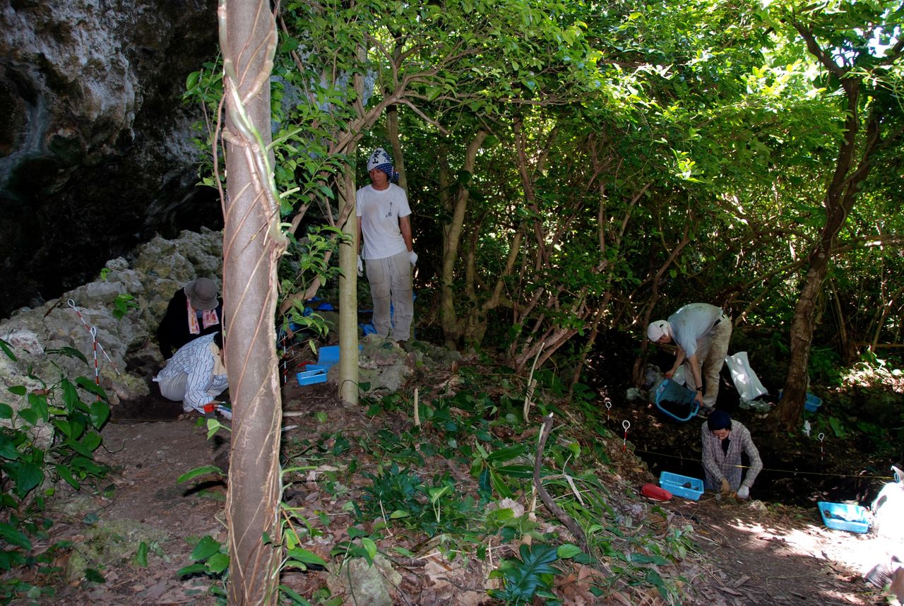 Researchers engage in archaeological excavations at the Nagabaka site on Japan