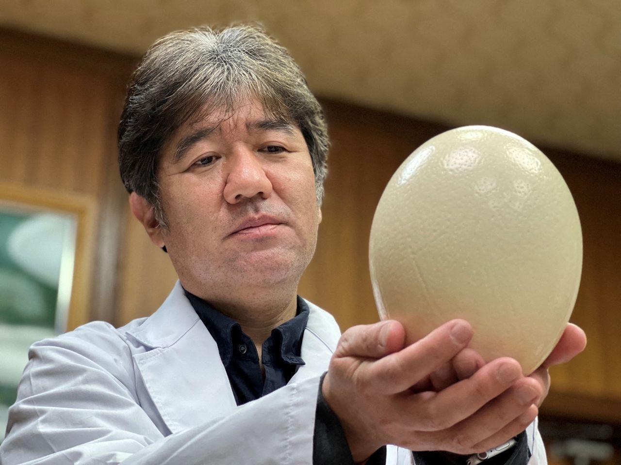 Kyoto Prefectural University President and Doctor of Veterinary Medicine Yasuhiro Tsukamoto holds an ostrich egg in Kyoto, Japan in this handout photo taken August, 2021 and released by Kyoto Prefectural University. KPU/Handout via REUTERS  ATTENTION EDITORS - THIS IMAGE HAS BEEN SUPPLIED BY A THIRD PARTY. MANDATORY CREDIT. NO RESALES. NO ARCHIVES.