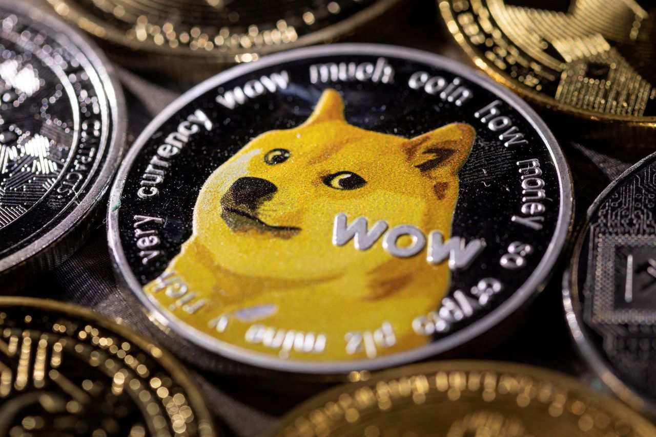FILE PHOTO: Representation of cryptocurrency Dogecoin is seen in this illustration taken November 29, 2021. REUTERS/Dado Ruvic/Illustration/File Photo