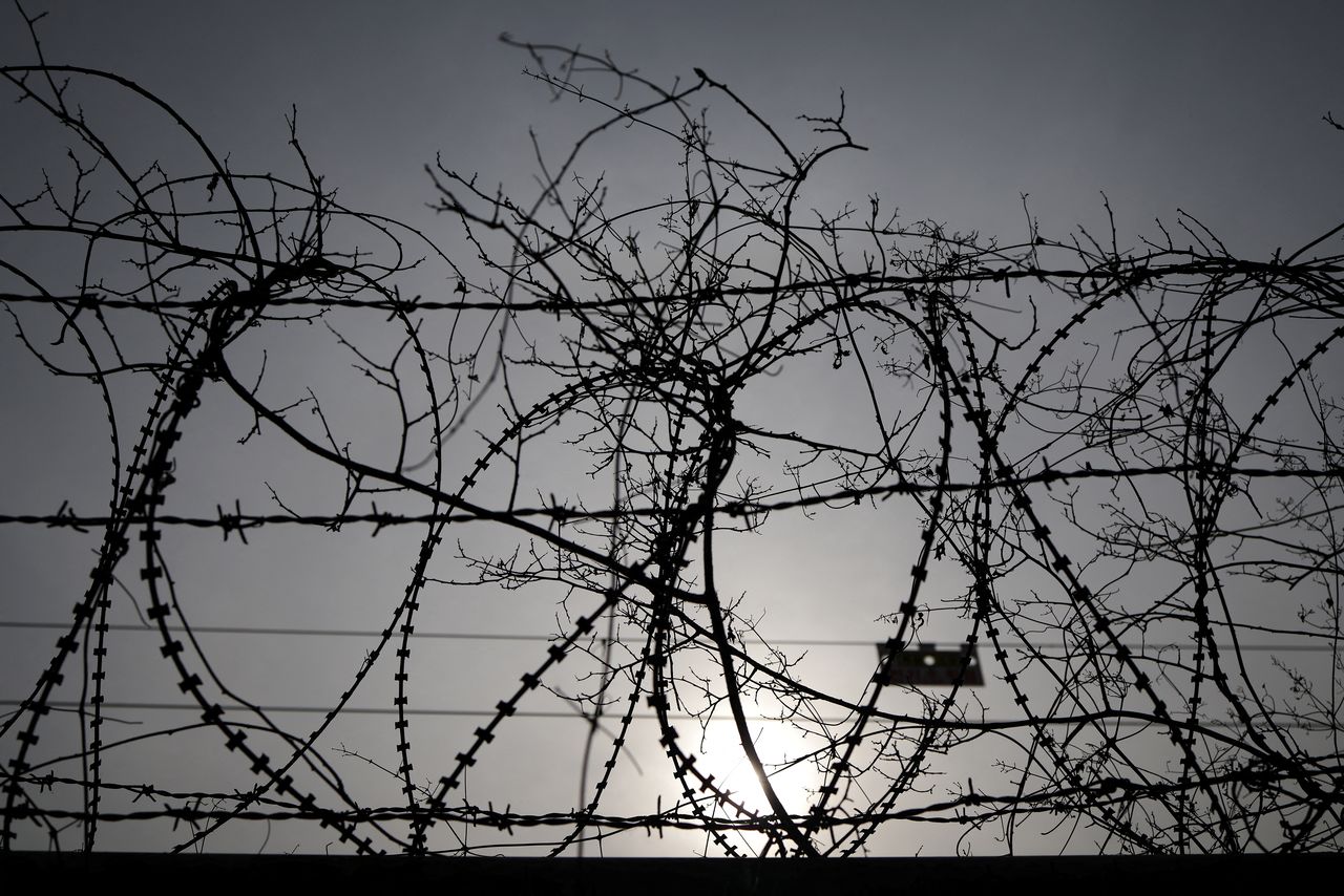 A dead tree and a military fence are intertwined near the demilitarised zone which separates the two Koreas in Paju, South Korea, January 5, 2022. REUTERS/Kim Hong-Ji
