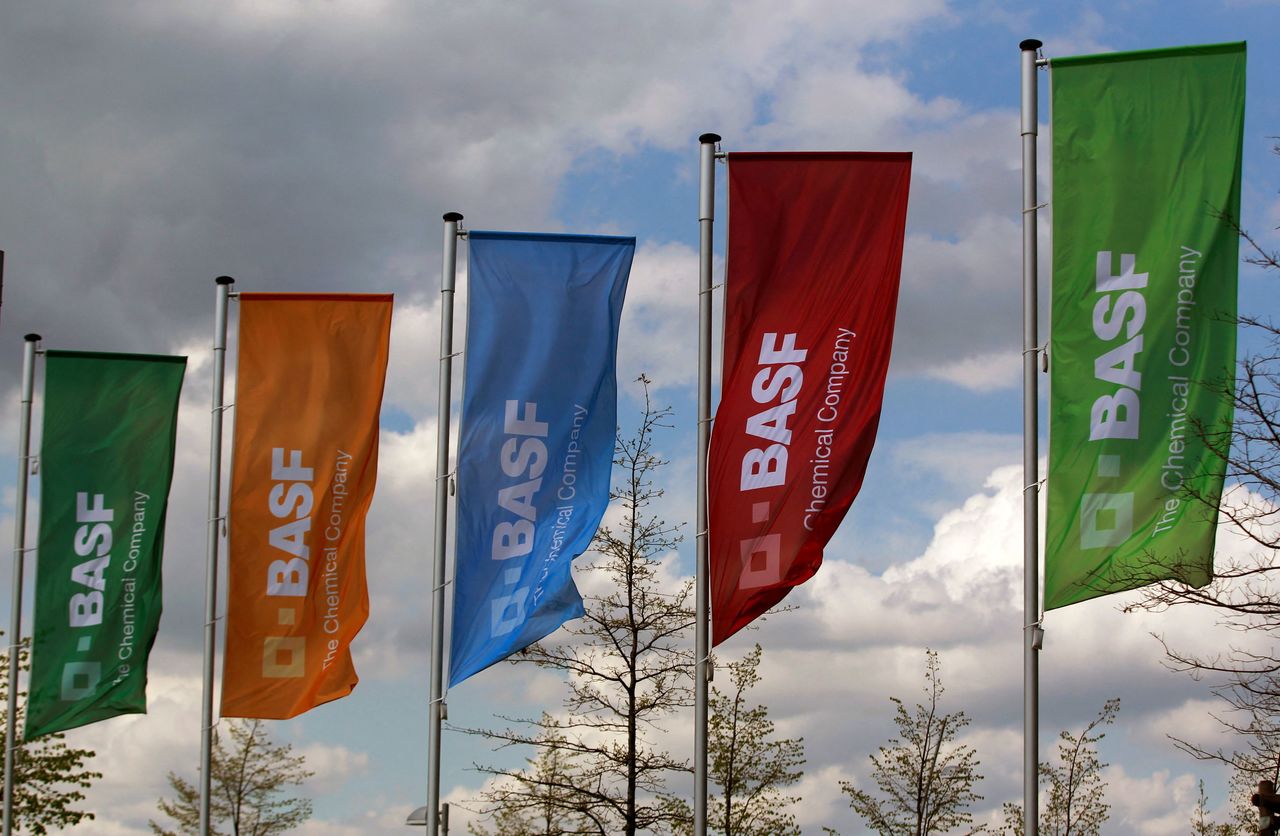 FILE PHOTO: Flags of German chemicals company BASF are pictured in Monheim, April 20, 2012. REUTERS/Ina Fassbender