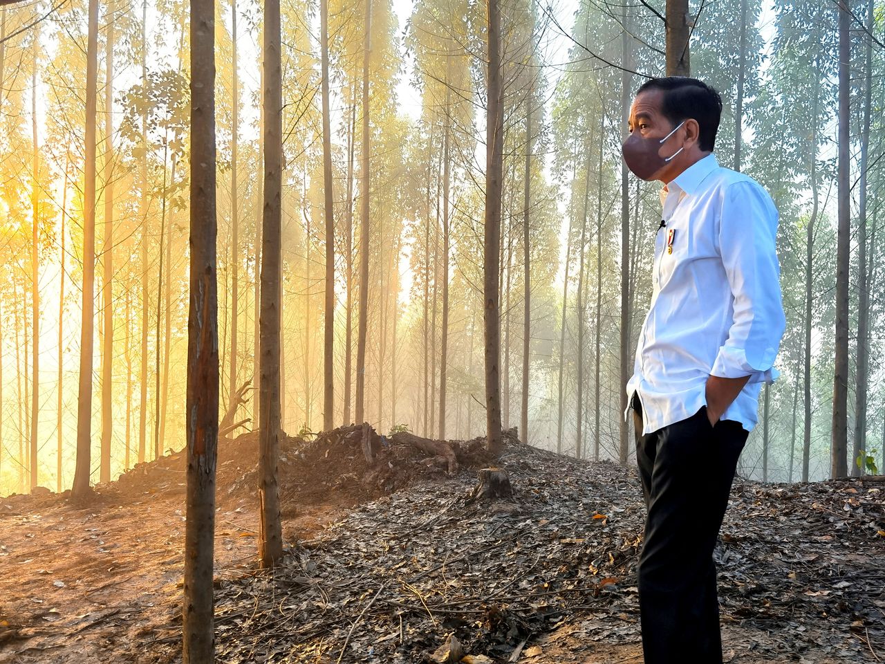 FILE PHOTO: Indonesian President Joko Widodo inspects an area that will be the site of the new capital city, during sunrise in Penajam Paser Utara regency, East Kalimantan province, Indonesia, March 15, 2022. Courtesy of Agus Suparto/Indonesian Presidential Palace/Handout via REUTERS