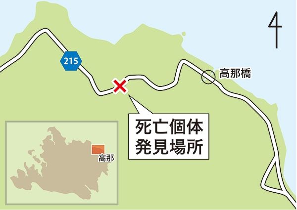 A map of Iriomotejima shows where an adult male Iriomote cat was struck and killed by a car on October 25, 2022.