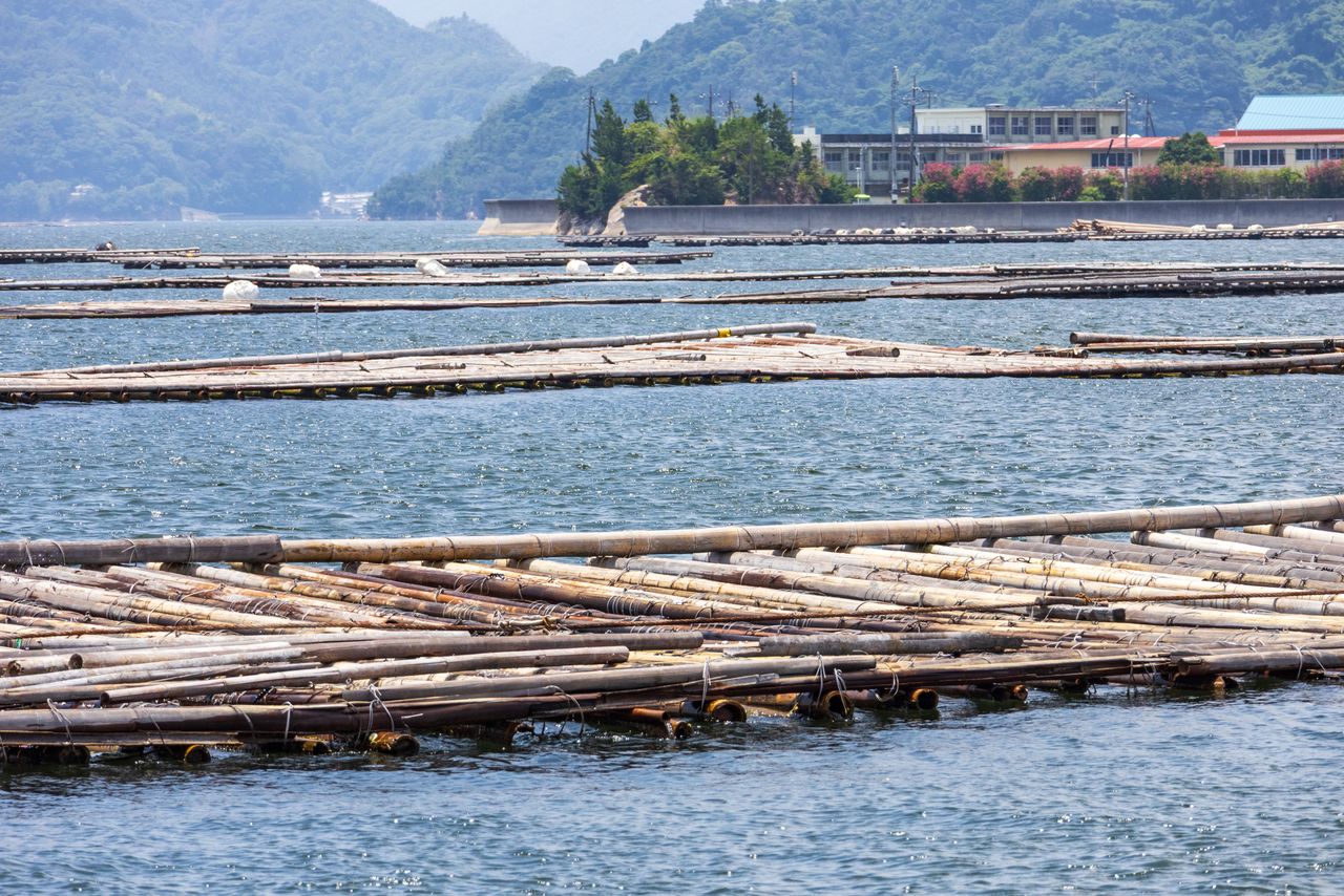 Some floats without protective covers were seen at the aquaculture site. (© Nippon.com)