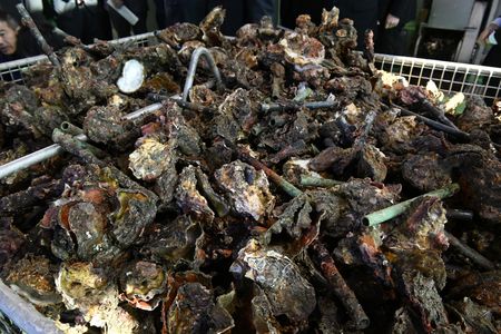 Japan Eyes Financial Aid for Struggling Oyster Farmers