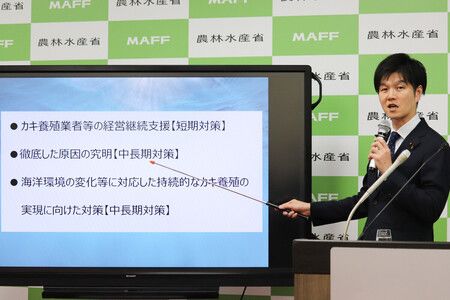 Japan Unveils Measures to Tackle Mass Oyster Deaths