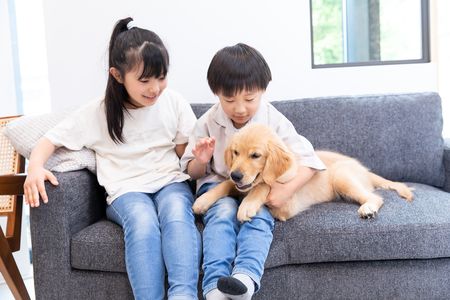 Having Dogs Likely Boosts Teens' Social Skills: Study