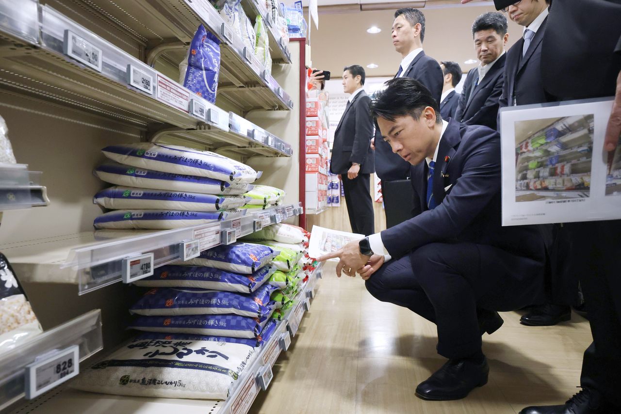 Minister of Agriculture, Forestry, and Fisheries Koizumi Shinjirō inspects the rice on sale at a Tokyo supermarket on May 23, 2025. (© Jiji)