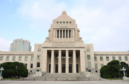 Assets of Japan's New Upper House Members Average 30.82 M. Yen