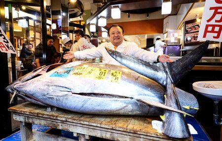 New Year's Tuna Auction Logs Record 510 M. Yen
