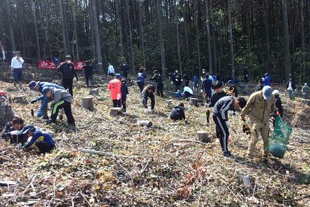 Japan to Quantify Companies' Forest Conservation Efforts