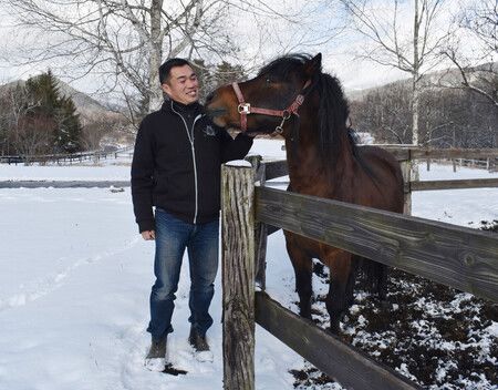 Central Japan Farm Racing to Save Disappearing Kiso Horse Breed