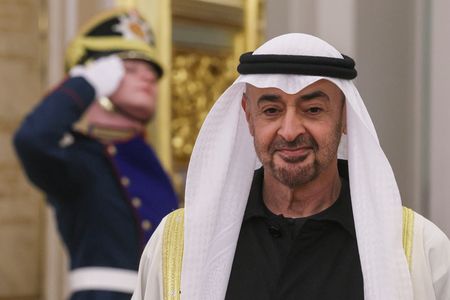 UAE President to Postpone Visit to Japan
