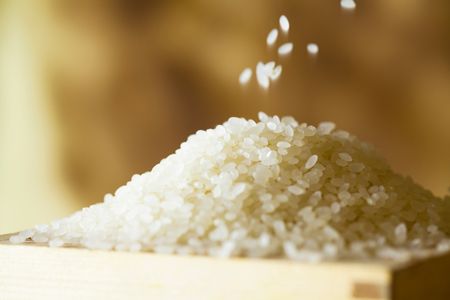 Japan's Rice Prices Likely to Fall in Coming Months