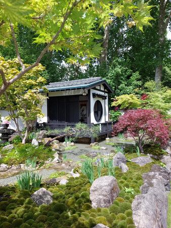 Japanese Garden Designer Wins Silver-Gilt at British Flower Show