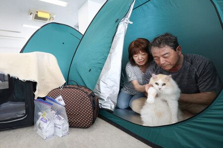 Shelter for Evacuees with Pets Set Up Soon after Kumamoto Quake