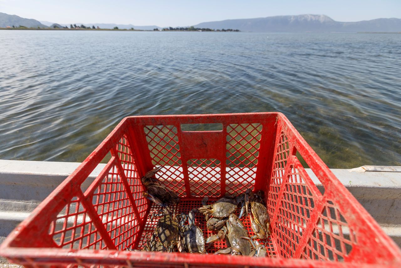 Caught blue crabs are seen on a boat near Ploce, Croatia, May 11, 2021. Picture taken May 11, 2021. REUTERS/Antonio Bronic