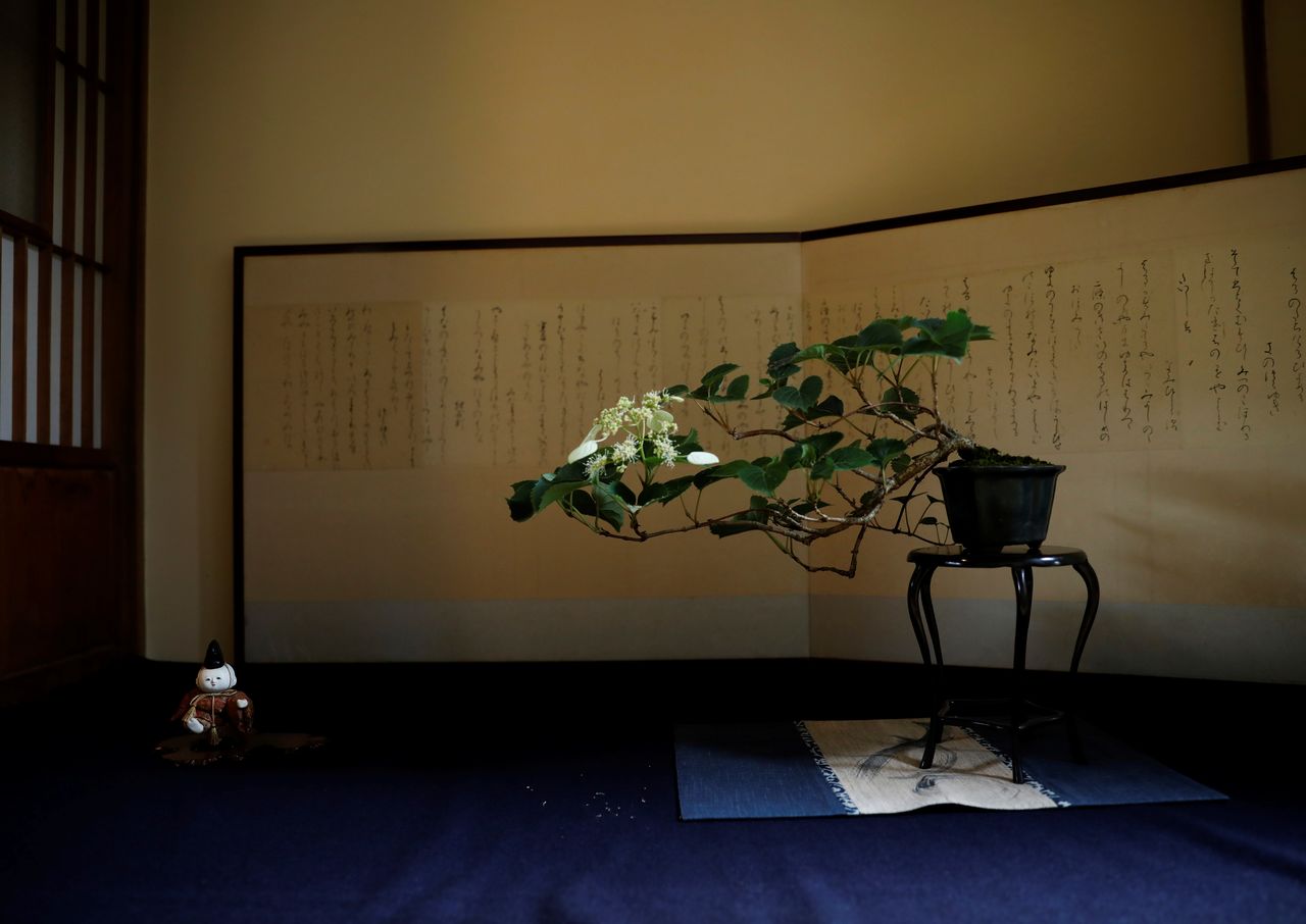 A bonsai tree is displayed near a traditional doll and a folding screen at Takao Komagino Garden in Hachioji, Tokyo, Japan, June 7, 2021. REUTERS/Kim Kyung-Hoon