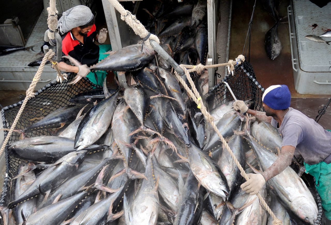 FILE PHOTO: Workers offload tuna from a fishing boat in Port Victoria, August 4, 2008. REUTERS/George Thande/File Photo