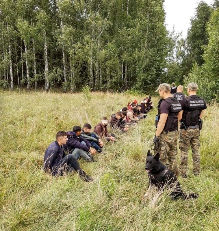 Polish border patrol officers detain people attempting to cross the border between Belarus and Poland, in this handout picture released on August 9, 2021. Main Command of the Polish Border Patrol/Handout via REUTERS