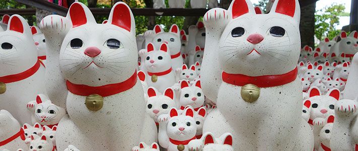 9 Waving Lucky Fortune Cat Maneki Neko Porcelaine giapponese Lucky Cat H21CM 