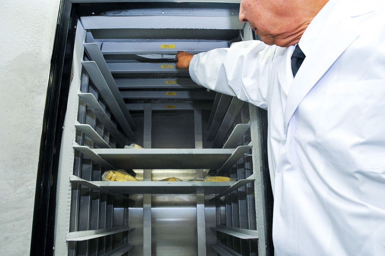 A CAS system installed in a freezer ceiling.
