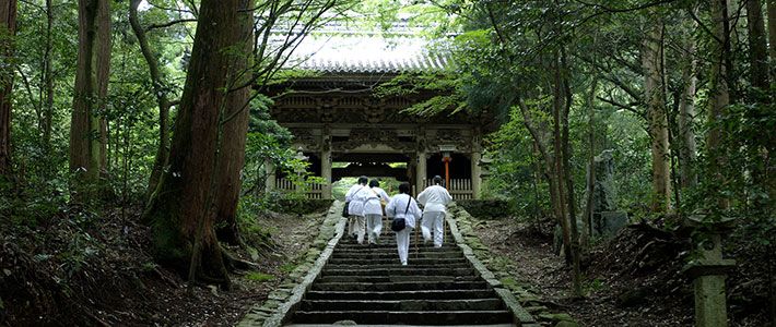 The Pull of Shikoku's | Nippon.com