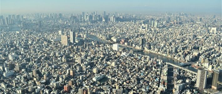 Population Characteristics - Tokyo Mega City