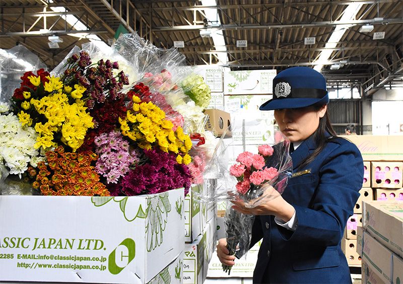 Flores en san Valentin