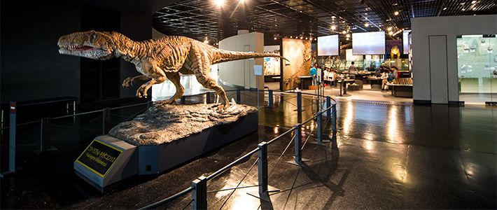 Los Gigantes Que Campan Por El Museo De Los Dinosaurios De Fukui