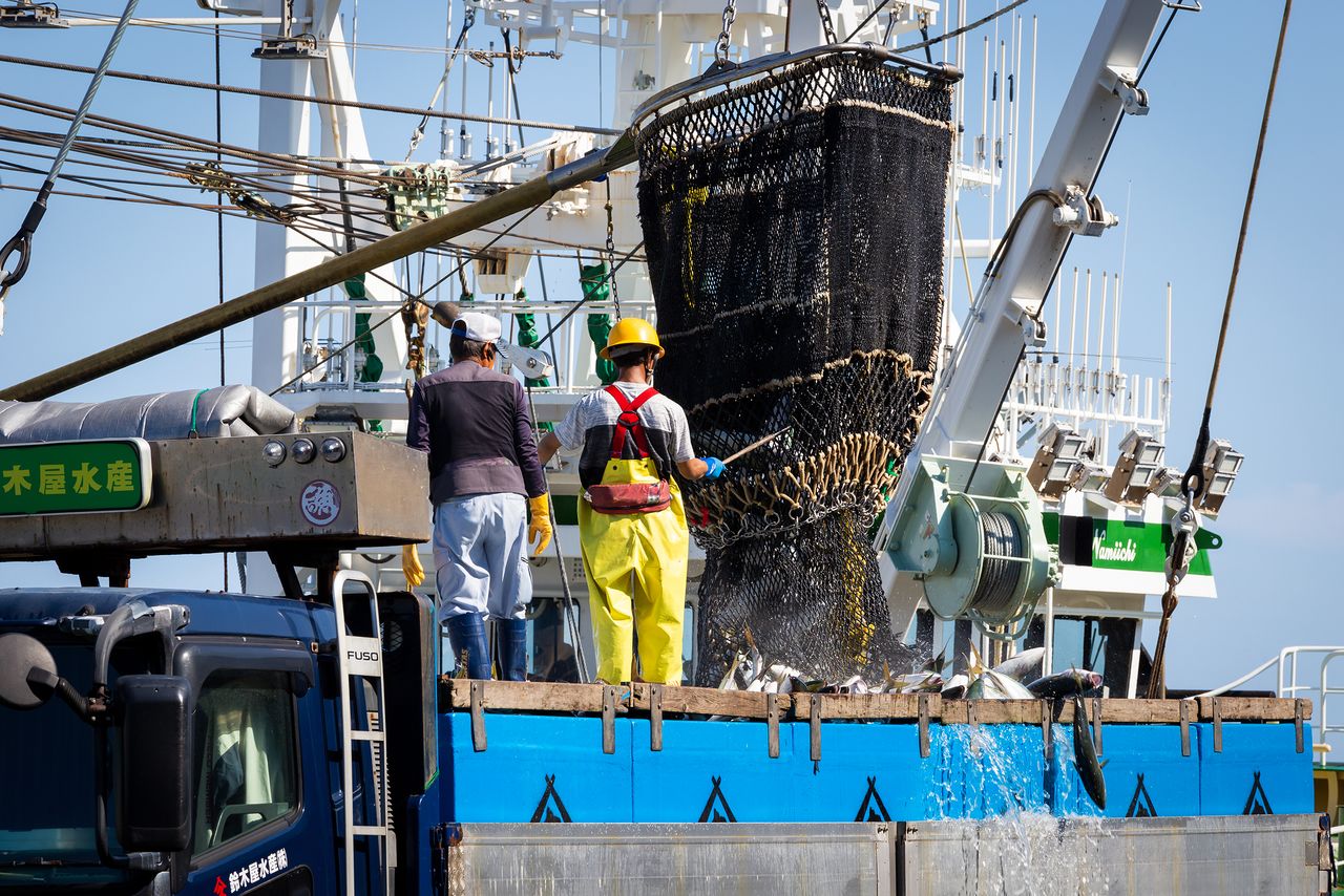 En el puerto pesquero de Chōshi se puede ver la descarga de pescados y mariscos.