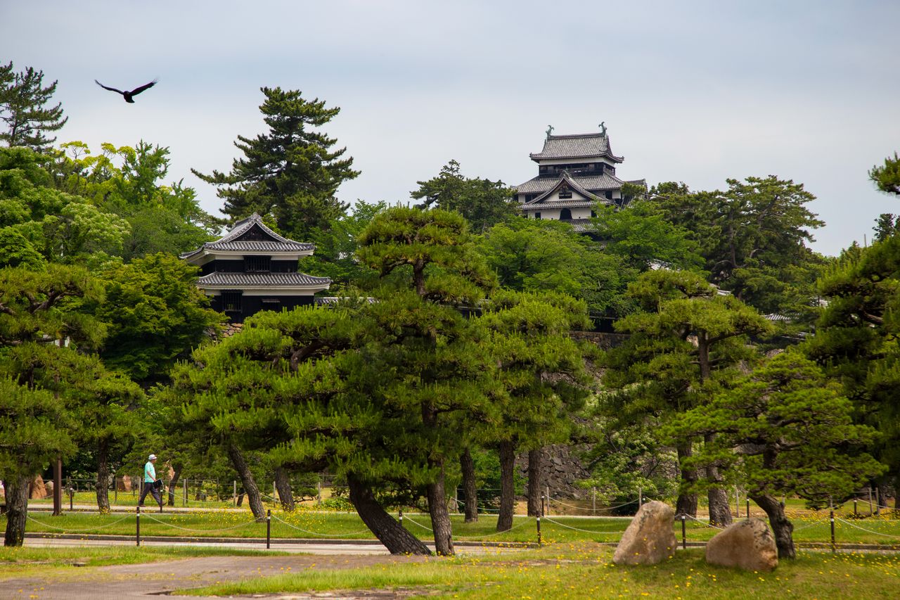 Torreón y atalaya sur del castillo de Matsue vistos desde el edificio del Gobierno de Shimane. 
