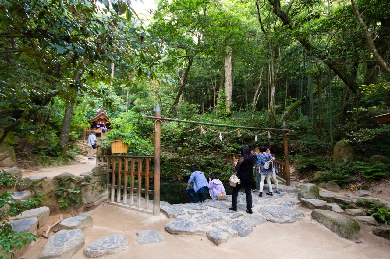 El Estanque del Espejo está rodeado por un bosque frondoso. Al fondo, el santuario Amenokagami.