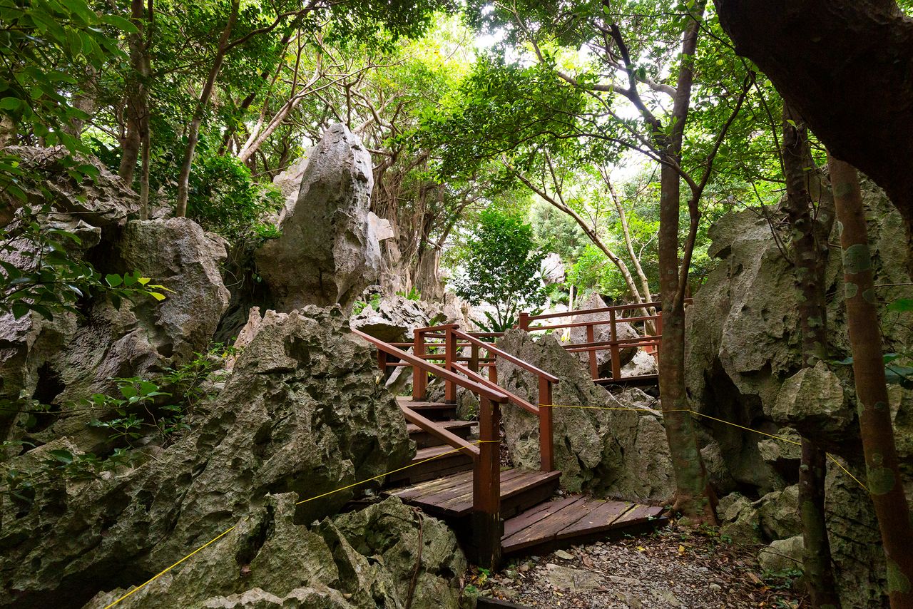 La Ruta de las Rocas Extrañas y las Piedras Gigantescas permite sumergirse en la vegetación y admirar las formaciones cársticas.