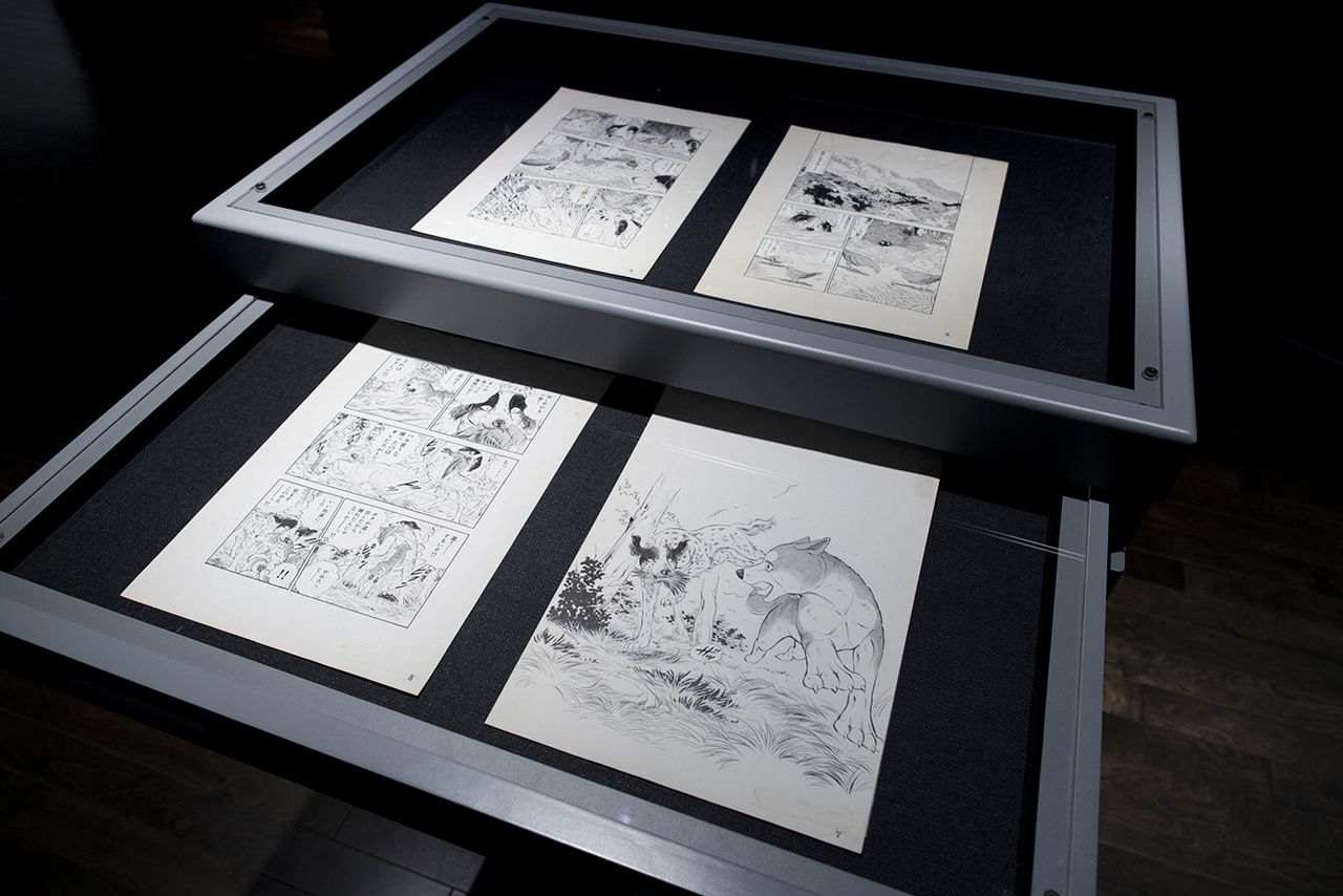 Las obras que ocupan el hikidashisutemu o “sintema de cajones”, un original dispositivo de visualización, son renovadas eventualmente. (Fotografía cortesía del Museo del Manga Yokote Masuda)