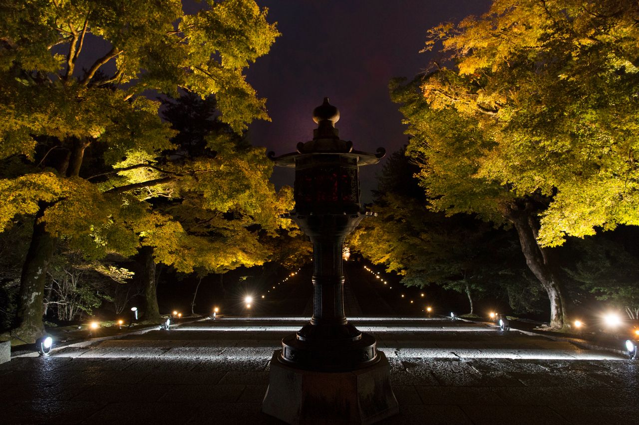 Iluminación nocturna del recinto del Ninna-ji.