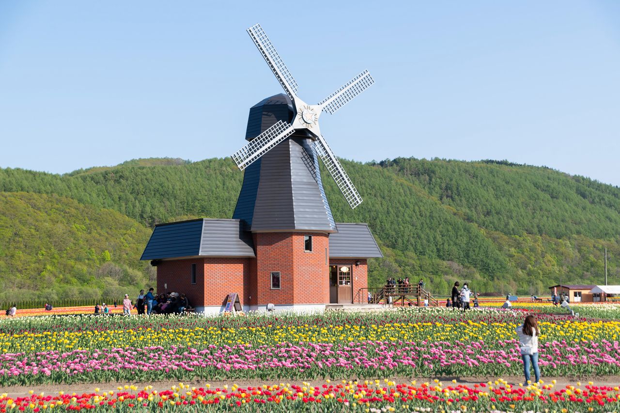 Este molino de viento de estilo holandés es el símbolo del Parque de Tulipanes de Kamiyūbetsu.