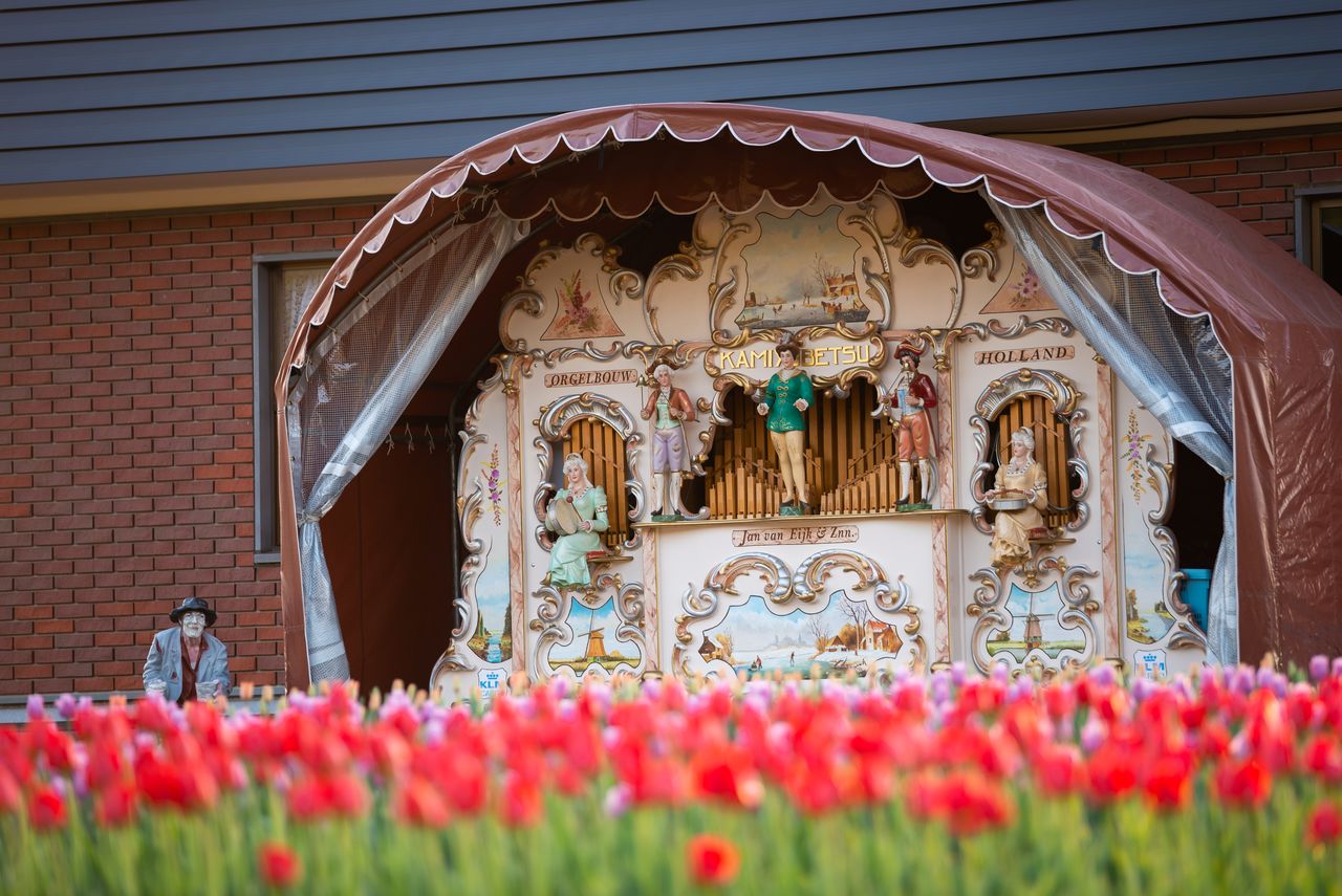 Este órgano callejero se toca durante la Feria de los Tulipanes.