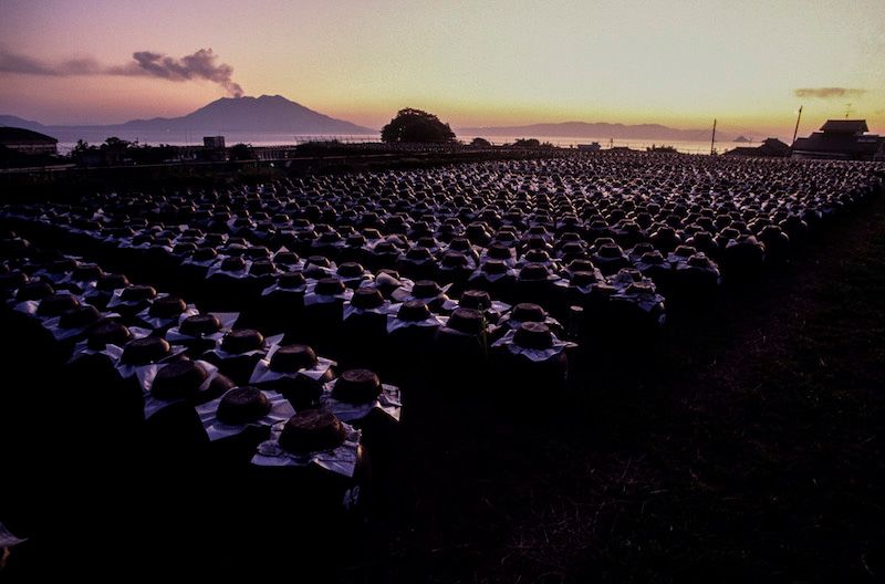 Las vasijas donde se hace el vinagre reposan en un campo con vistas a la bahía de Kinkō y a Sakurajima. La luz solar es muy importante en el proceso de elaboración, por lo que los recipientes están orientados en dirección norte-sur, de modo que les dé el sol tanto por la mañana como por la tarde. 