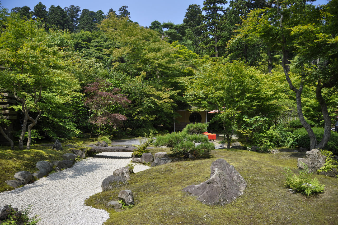El jardín seco (karesansui) del templo simboliza el cielo y la tierra. (© Shoe Press)