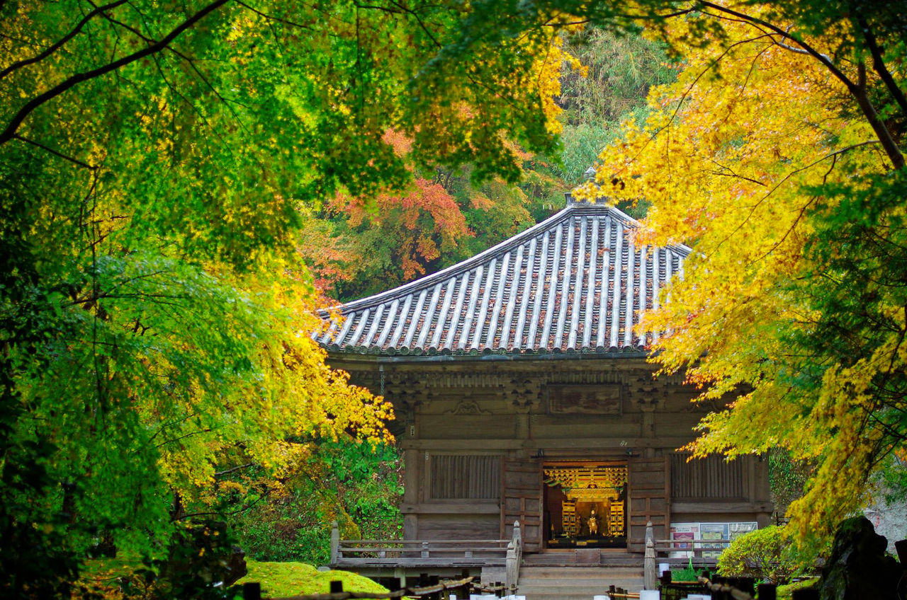 El mausoleo Sankeiden se encuentra en la arboleda detrás del pabellón principal. (© Entsūin)
