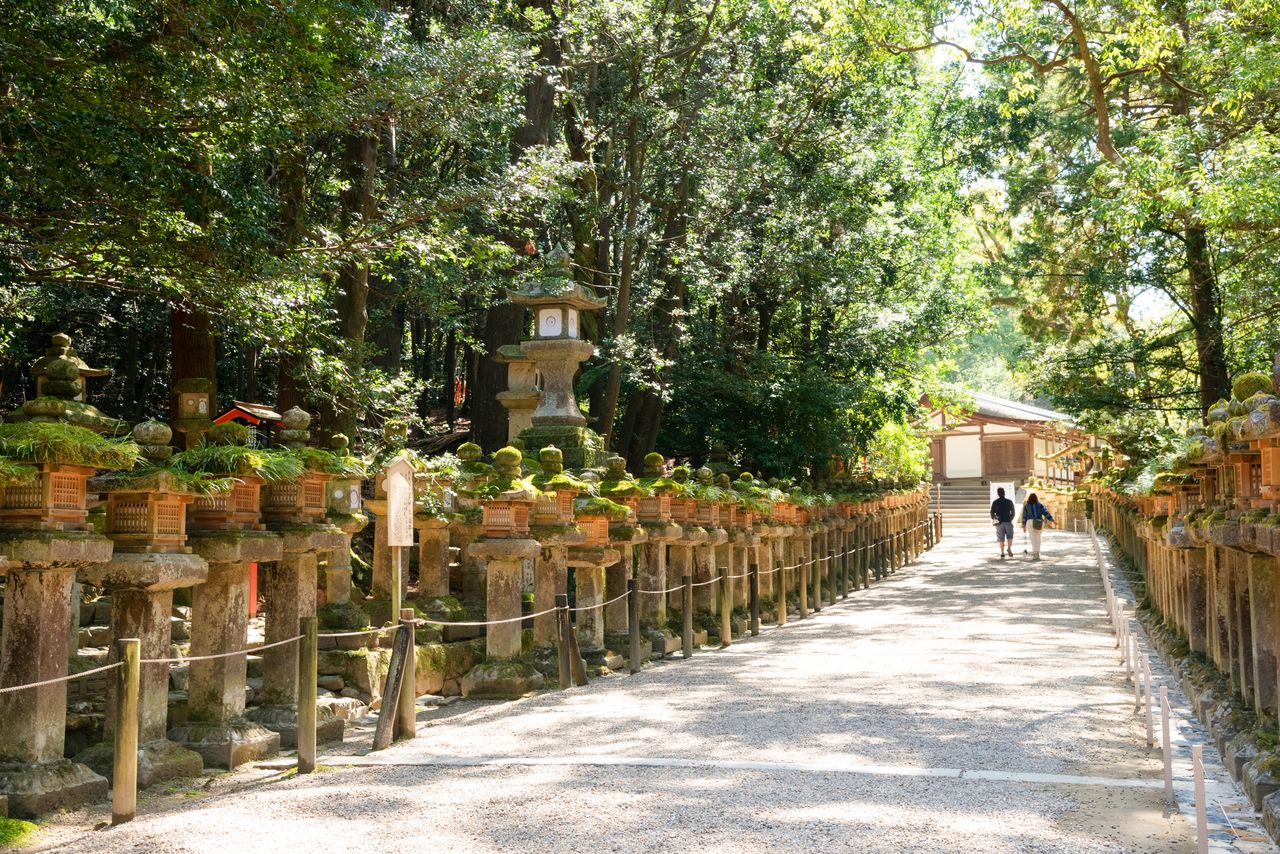 El camino de acceso Oaimichi, el primero de Japón con linternas de piedra.