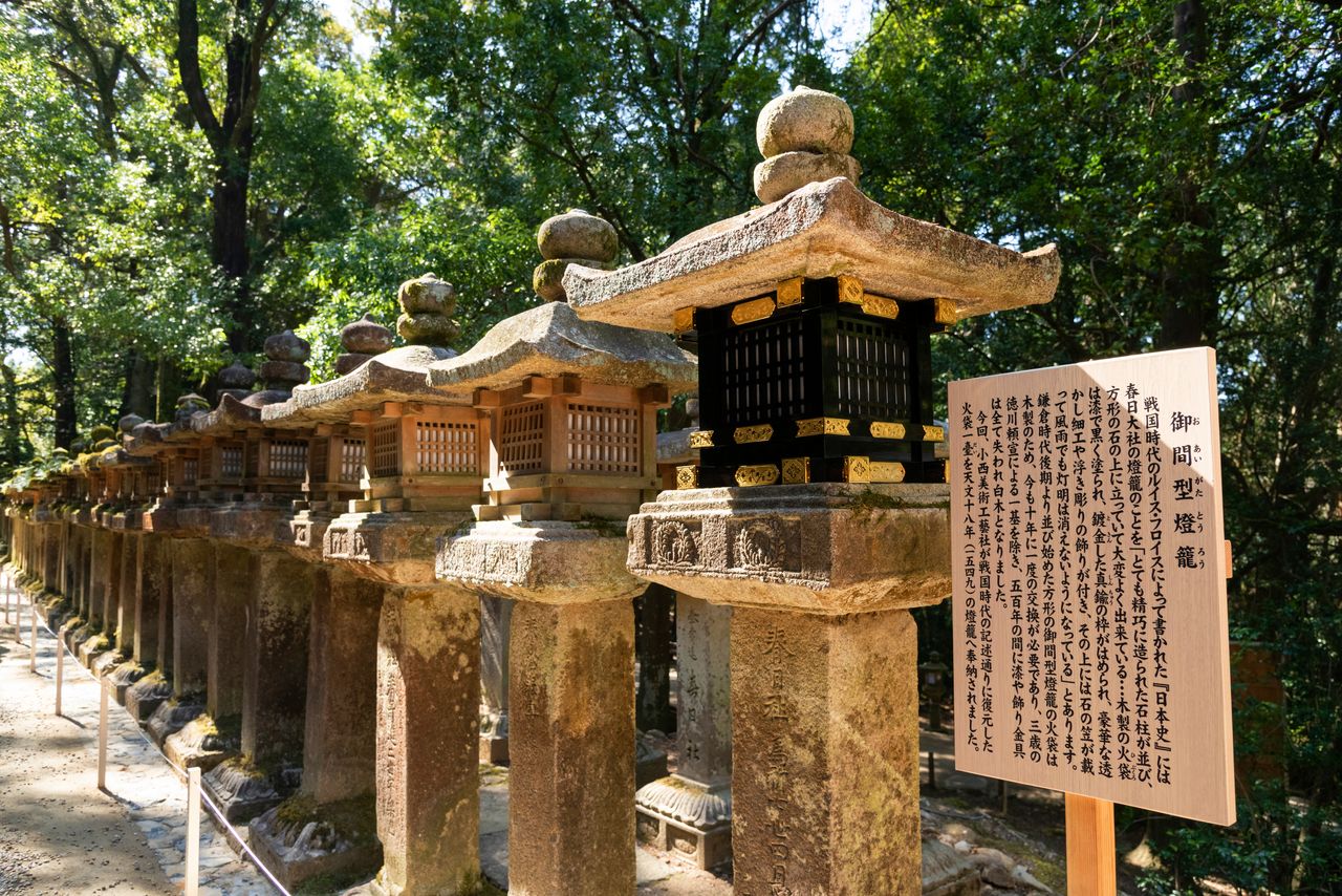 Las linternas estilo Oai se caracterizan por tener una cubierta cúbica de madera en la parte donde se iluminan. En el otoño de 2022 se restauró una del periodo Sengoku, con laca negra.