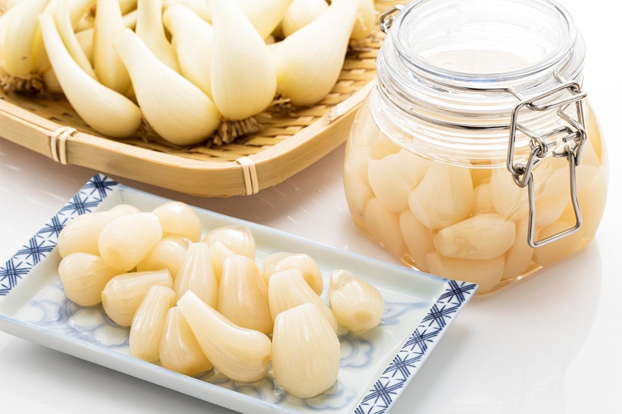 El cebollino rakkyō es un producto agrícola popular de Tottori. (© Pixta)