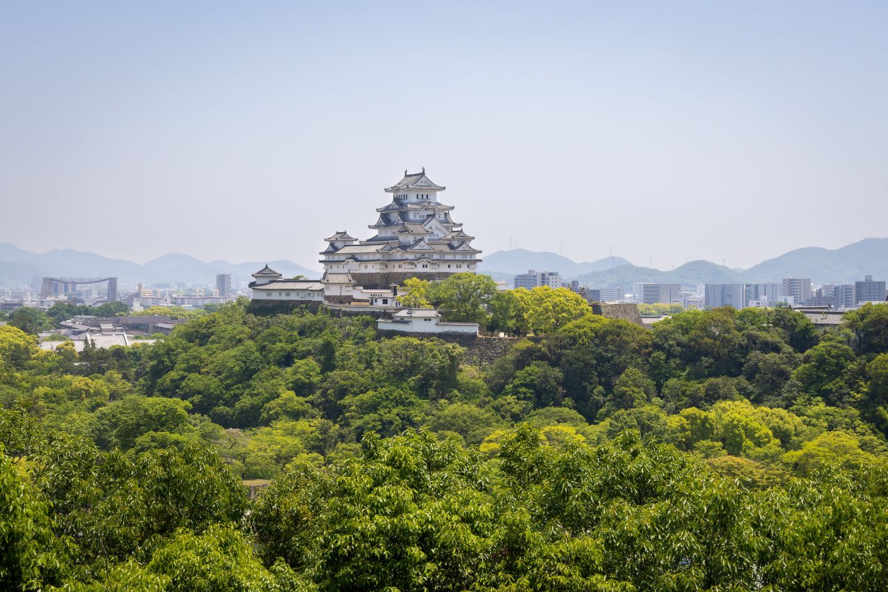 Desde el parque Otokoyama Haisuiike, el castillo parece flotar sobre los árboles. Al fondo se extiende la ciudad.
