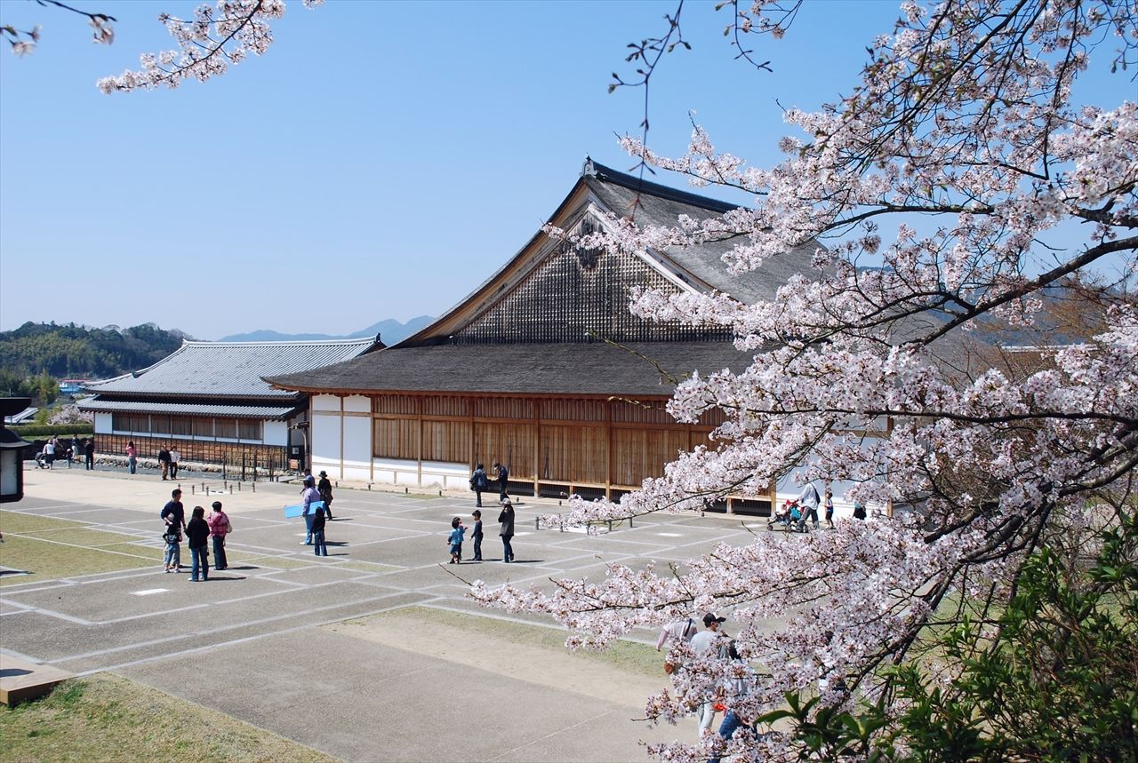El Ōshoin (gran sala de lectura) del castillo de Sasayama. (PIXTA)