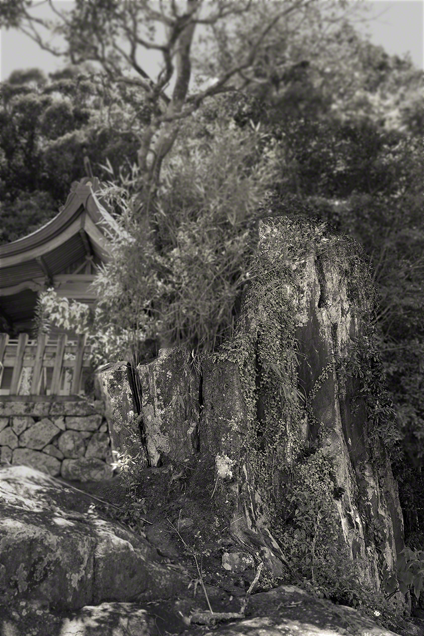 La roca erguida (tateiwa) de la parte trasera del santuario. Fotografía: Ōsaka Hiroshi.