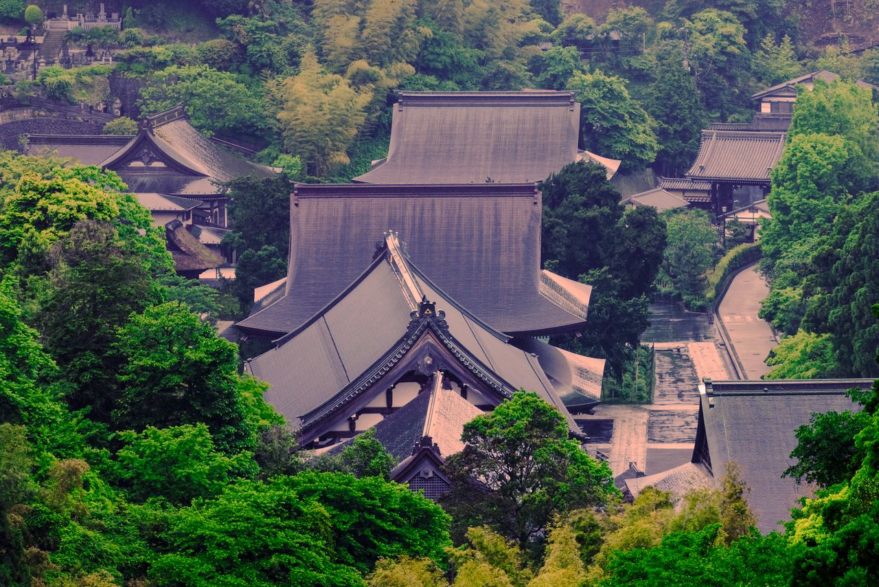 Vista de los edificios alineados que conforman el magnífico Kenchō-ji desde una colina situada en la zona más al fondo del complejo religioso.