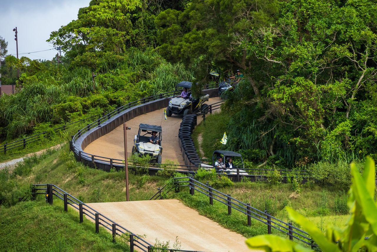 Los vehículos todoterreno que se desplazan por los caminos de tierra en el bosque. Es necesario tener una licencia de conducción válida para manejarlos.